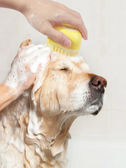 Silicone Pet Bath Massage Brush – Soft, Safe & Easy Grooming