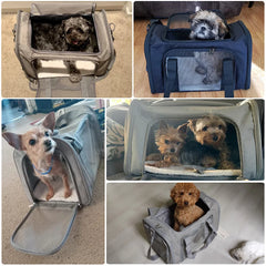 Portable Pet Travel Backpack – Soft Carrier for Small Dogs & Cats