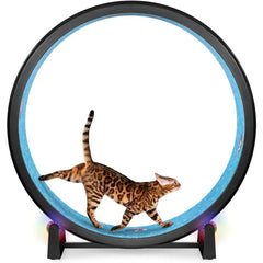 One Fast Cat Exercise Wheel