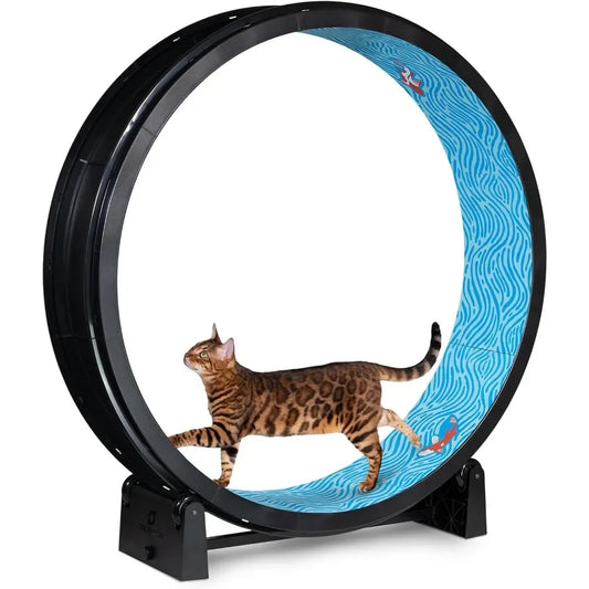 One Fast Cat Exercise Wheel