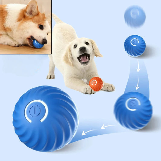 USB Smart Bouncing Dog Toy Ball – Automatic & Interactive