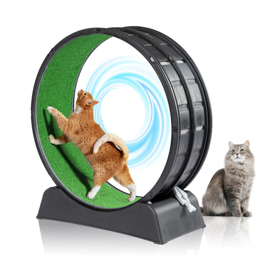 Cat Treadmill Wheel Exerciser