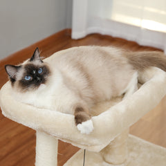 Multi-Level Cat Tree with Perches, Scratcher & Toys