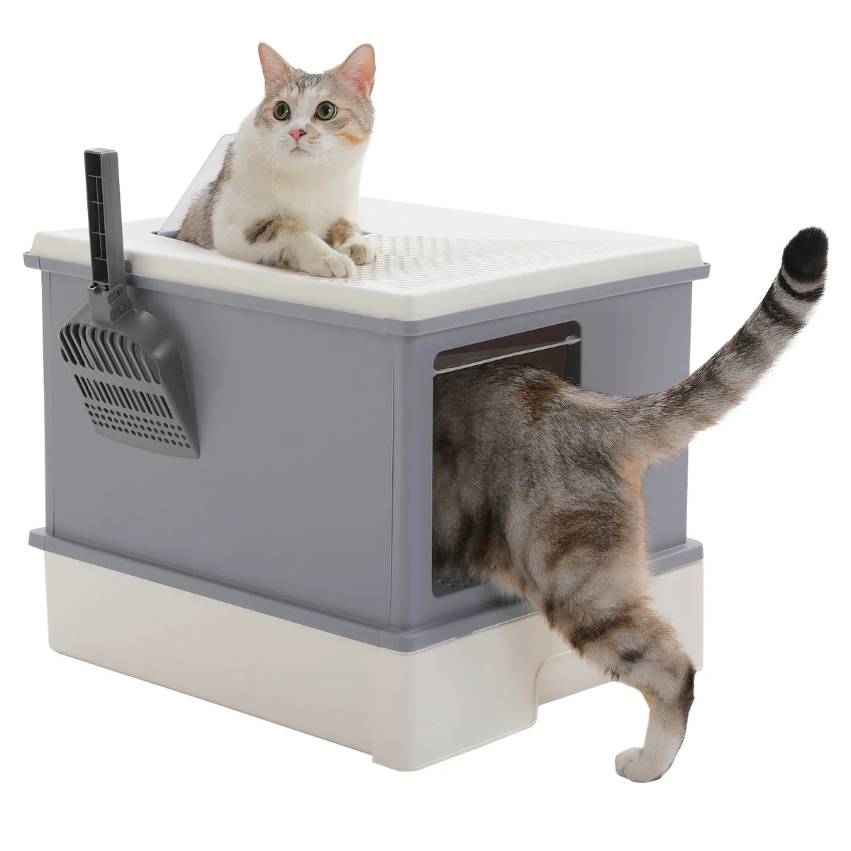 Enclosed Cat Litter Box with Lid & Scoop – Large Indoor Cat Toilet with Pull-Out Drawer, Top Exit Design & Anti-Tracking System