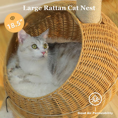Dinosaur Cat Tree Tower with Sisal Scratching Post – Large Rattan Cat Condo with Wicker Bed, Removable Mat & Interactive Cat