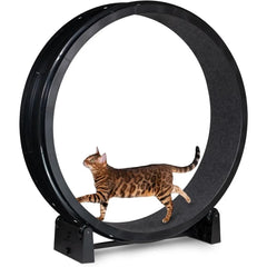 One Fast Cat Exercise Wheel