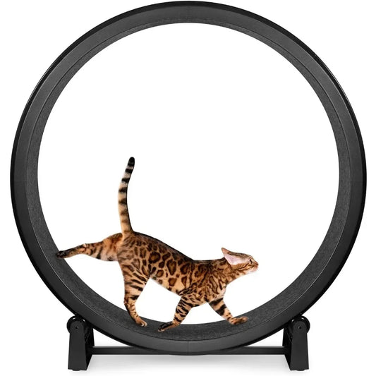 One Fast Cat Exercise Wheel